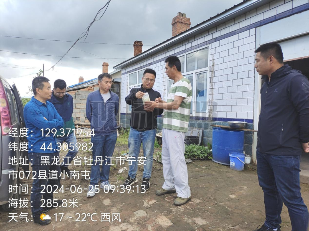 科技特派员团队在行动！省农科院牡丹江科技特派团宁安分队开展科技服务，打通新技术走进农户的最后“环节”