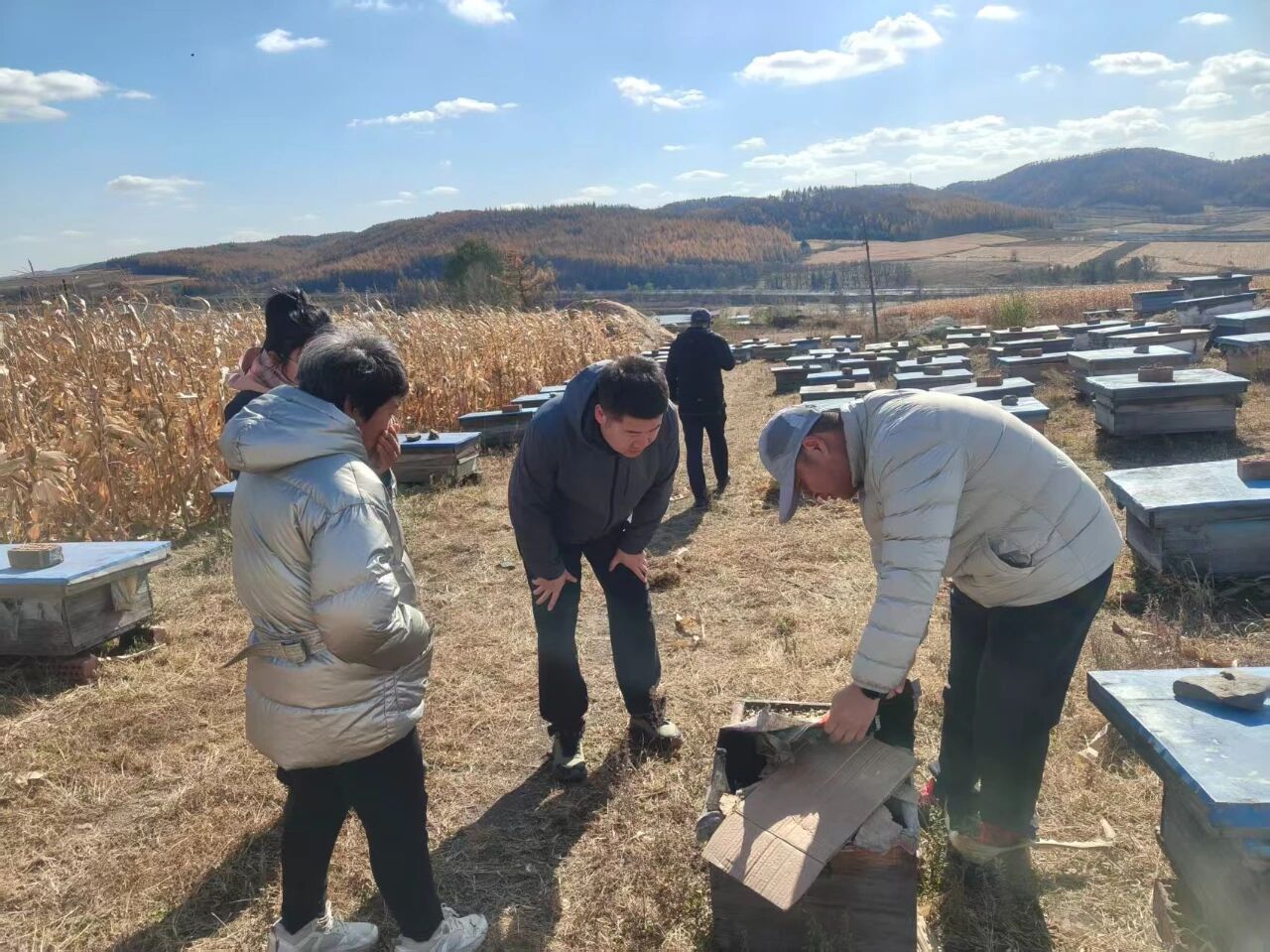 精准服务 科技助农促增收——科技助农服务队赴绥阳镇开展技术指导